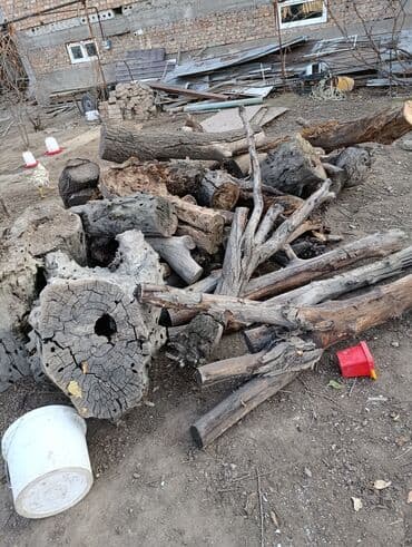 Дрова Самовывоз at lalafo.kg Дрова Самовывоз