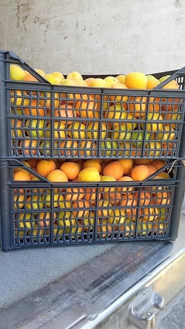 конфетницы бу: Ящик, Новый — 1