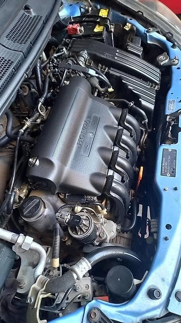 хонда дио скутер: Honda Fit: 2004 г., 1.3 л, Автомат, Бензин, Хэтчбэк — 5