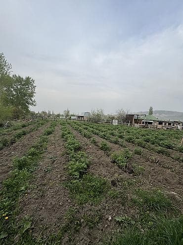 приват кж: 15 соток, Для строительства, Красная книга — 2