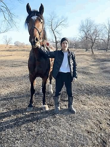 кунан: Сатам | Байтал — 5