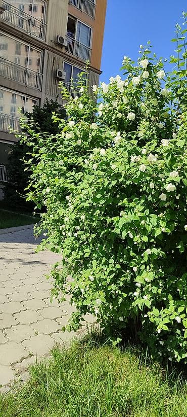 Продажа квартир: 3 комнаты, 87 м², Элитка, 11 этаж — 7