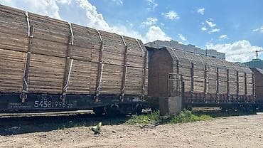 тополь карагач: Все размеры есть
4-6м — 4
