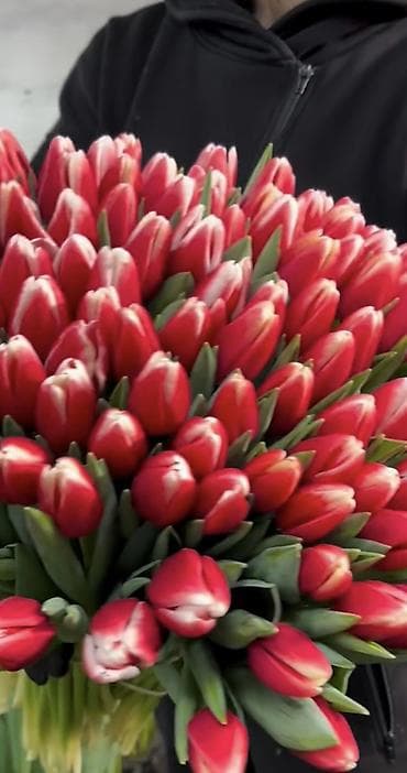 форель живая: Тюльпаны Оптом 🌼️ Хочешь покорить сердца миллионами улыбок? Начни с — 3