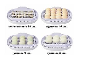 инкубационные яица: Инкубатор на 16 яиц #Инкубатор #БизнесИнкубатор — 4