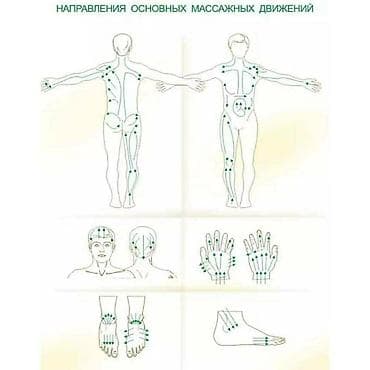 массажные ролики: Массажер "Каток" окажется для вас хорошим помощникам, как в борьбе с — 2