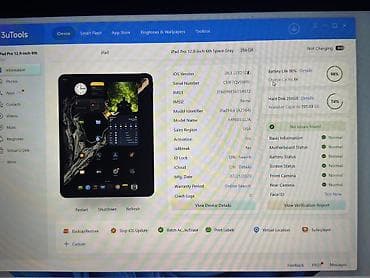 Планшеты: Планшет, Apple, память 256 ГБ, 12" - 13", 5G, Классический цвет - Серый — 3