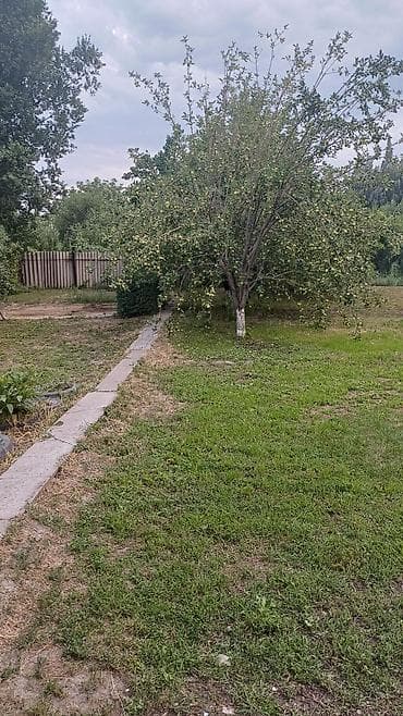 Продажа домов: Продаю дом 🏠 с мебелью со всеми удобствами в доме 3спальни зал .сан — 6