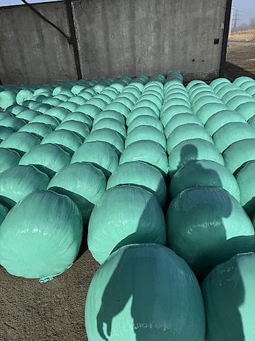 сено тюп: Продаю силос высшего качества Мелкого дробления с зернами Адрес село — 1