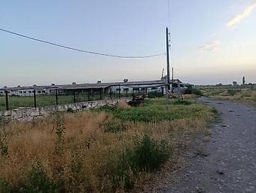mod: Farm КРС, 1500 соток, Частично с оборудованием, Электричество — 2