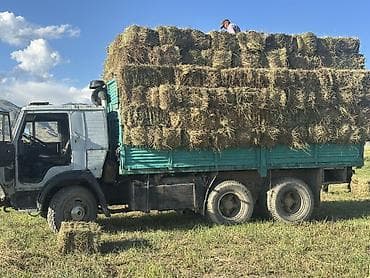 КАМАЗ-самосвал с тентованными бортами для перевозки сена и — 2