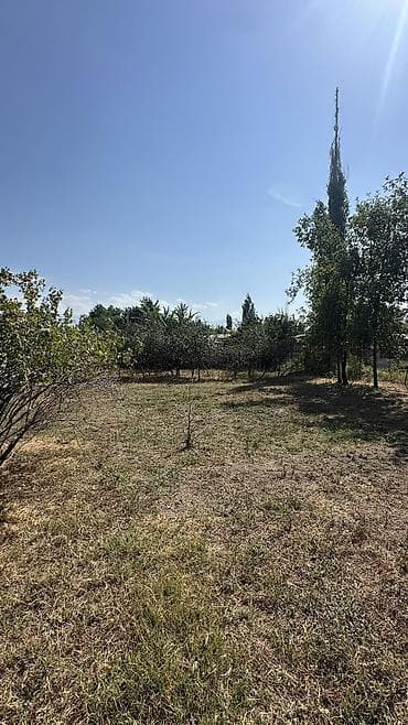 рухий мурас 1: 📍В Романовке продаётся дом на участке 5 соток. 🏷️Об объекте  — 3