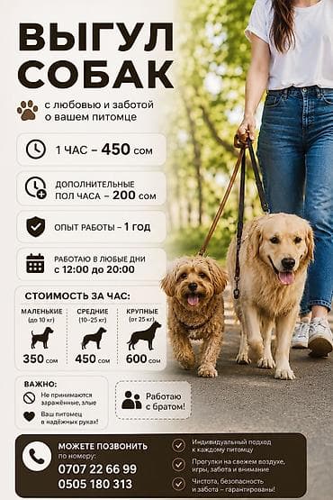 перевозка для собак: Услуга: выгул собак с любовью и заботой о вашем питомце. - Время — 1
