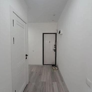 107: 1 комната, 45 м², Элитка, 1 этаж, Евроремонт — 5