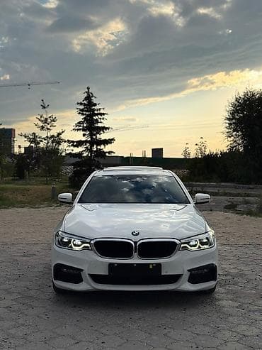 гольф руль: BMW 5 series: 2020 г., 2 л, Автомат, Дизель, Седан — 1