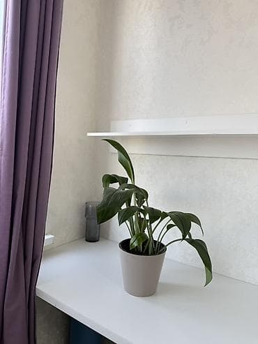 куханный гарнитур: Продается 1 ком квартира В тихом уютном районе Кухонный гарнитур с — 8