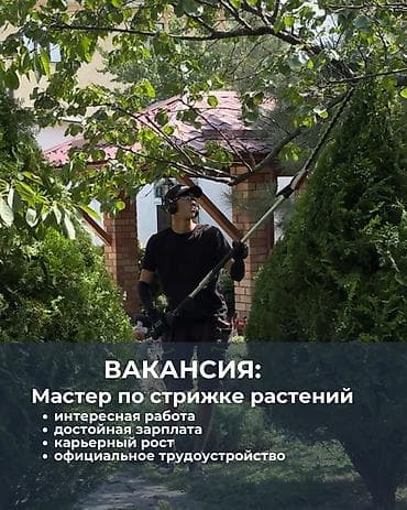 Требуется сотрудник, Полный рабочий день, График: Пятидневка, Оплата: Дважды в месяц