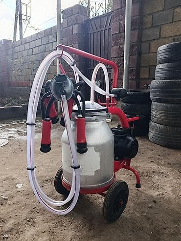 ер токум: Продаю в идеальном состоянии турецкий доильный аппарат на одну — 4