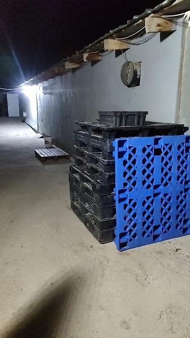 требуется разнорабочие: Требуются рабочие на бойню — 3
