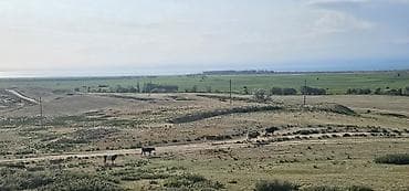 сдаю комнату с подселением: Ферма КРС, 30 соток, Электричество — 2