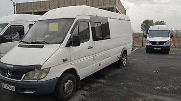 пружины секвоя: Легкий грузовик, Mercedes-Benz, Стандарт, 3 т, Б/у — 2