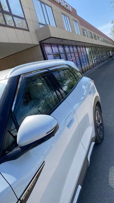 климат контроль на одиссей: Ветровики на окна BYD, 2024 г., Новый, Самовывоз, Платная доставка — 3