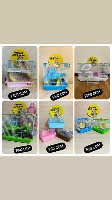 дешевые клетки для хомяков: У нас большой выбор клеток для хомяков. Одноэтажные, двухэтажные — 6