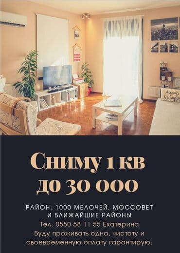 квартира бишкек на длительный срок: 1 комната, 40 м², С мебелью — 1