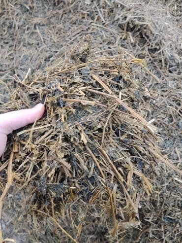 тай базар: Продаётся сенаж цена договорная — 5