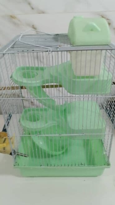 фелуцен для коров цена бишкек: Продаю клетки для хомячков. б/у. дёшево. от 400 до 1200 сом. также в — 7