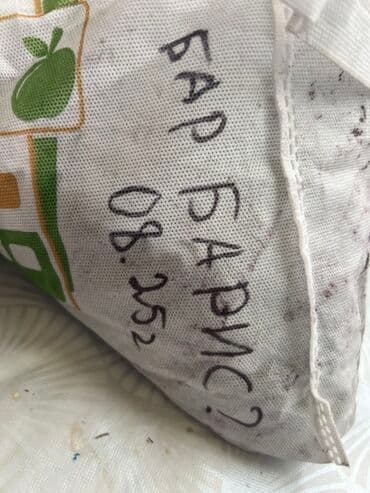 Инструменты: Сушёная ягода «Барбарис». Собранна в темировке. Иссык куль. - — 2