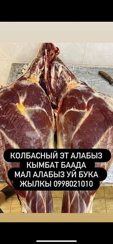 домашние птицы: Туша — 1