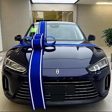 deco mesh: Аренда и продажа автомобильных бантов - Премиум‑качество - Подходят — 1