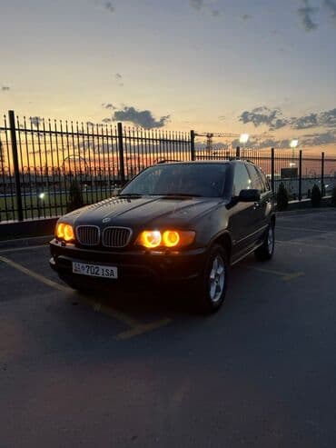 чехол на бмв: BMW X5: 2003 г., 3 л, Автомат, Дизель, Внедорожник — 4
