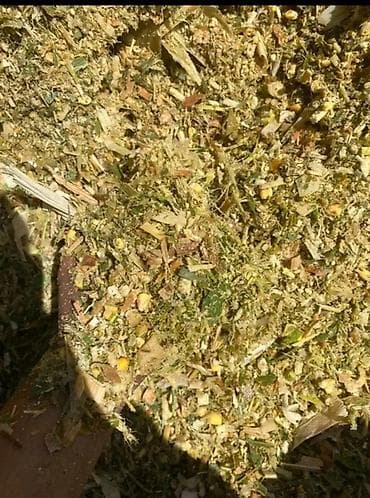 СЕНАЖ!!!СИЛОС!!!
Высший сорт!!!