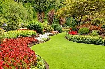 Ищу работу Садовник -стрижка газонаобрезка деревьевуход за at lalafo.kg Ищу работу Садовник -стрижка газонаобрезка деревьевуход за