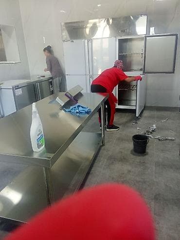 спрей от клещей бишкек: Клининговые услуги 24/7 Что делаем: - Поддерживающая и генеральная — 10