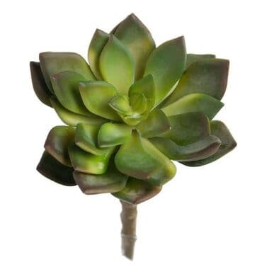 цветы гипсофилы: Цветок искусственный мини "Суккулент", диаметр 6 см, высота 8 см, для — 1