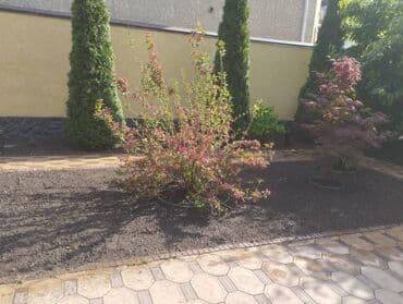 газонная трава цена бишкек: Посев газона🌱🌱🌱по доступной цене
Работаем под ключ 🔑 — 2