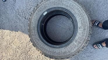 Шины R 20, Грузовики/Автобусы, Россия