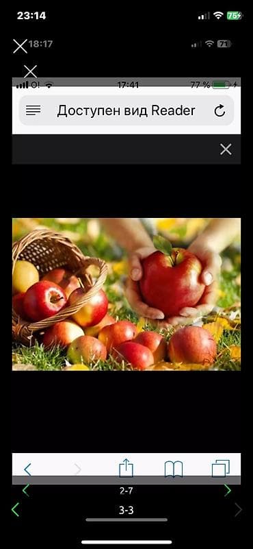 Молочные продукты и яйца: С Таласской области Превосход яблоки 🍎 из собственного Сада! — 1