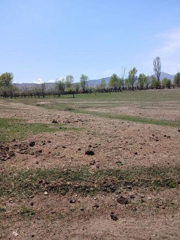 дом барачного типа бишкек: Дом, 1000 м², 5 комнат, Собственник — 4