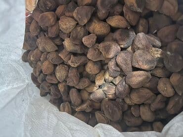 абрикосы оптом: Курага (цельные сушёные абрикосы, без косточки) - Натуральная сушка — 1