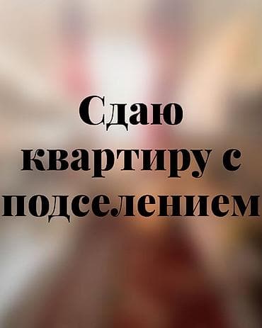 Квартиры: 1 комната, 5 мкр Собственник, Без животных, от 1 месяца, от 3 месяцев, от 6 месяцев, С мебелью полностью — 1