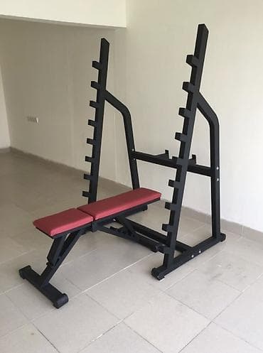 CD, DVD диски: Скамья для жима со стойками под штангу. - Конструкция: прочная — 1