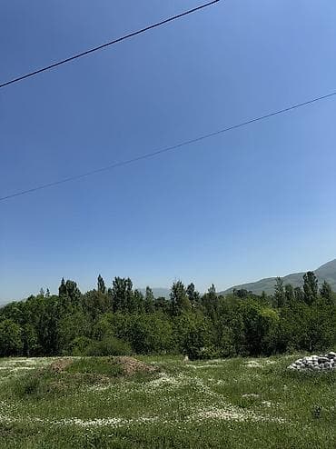 Жер тилкелери: 5 соток, Курулуш, Кызыл китеп — 2