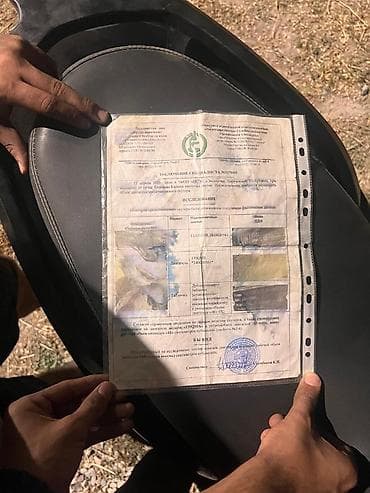 Скутер макси тяга бодрая вложение надо кольца поменять и все а так