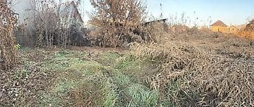 6 соток, Для строительства, Красная книга, Тех паспорт, Договор купли-продажи