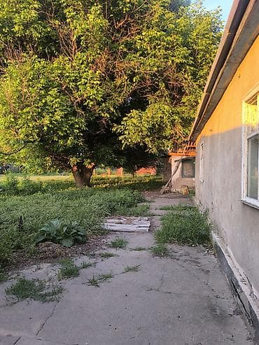 мира магистраль: Продается участок 12 соток,на участке есть старый домпод временное — 3