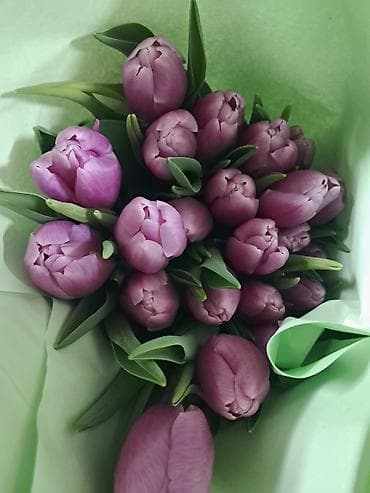 коралы: Тюльпаны в букетах - Разные оттенки и сорта: классические гладкие — 3